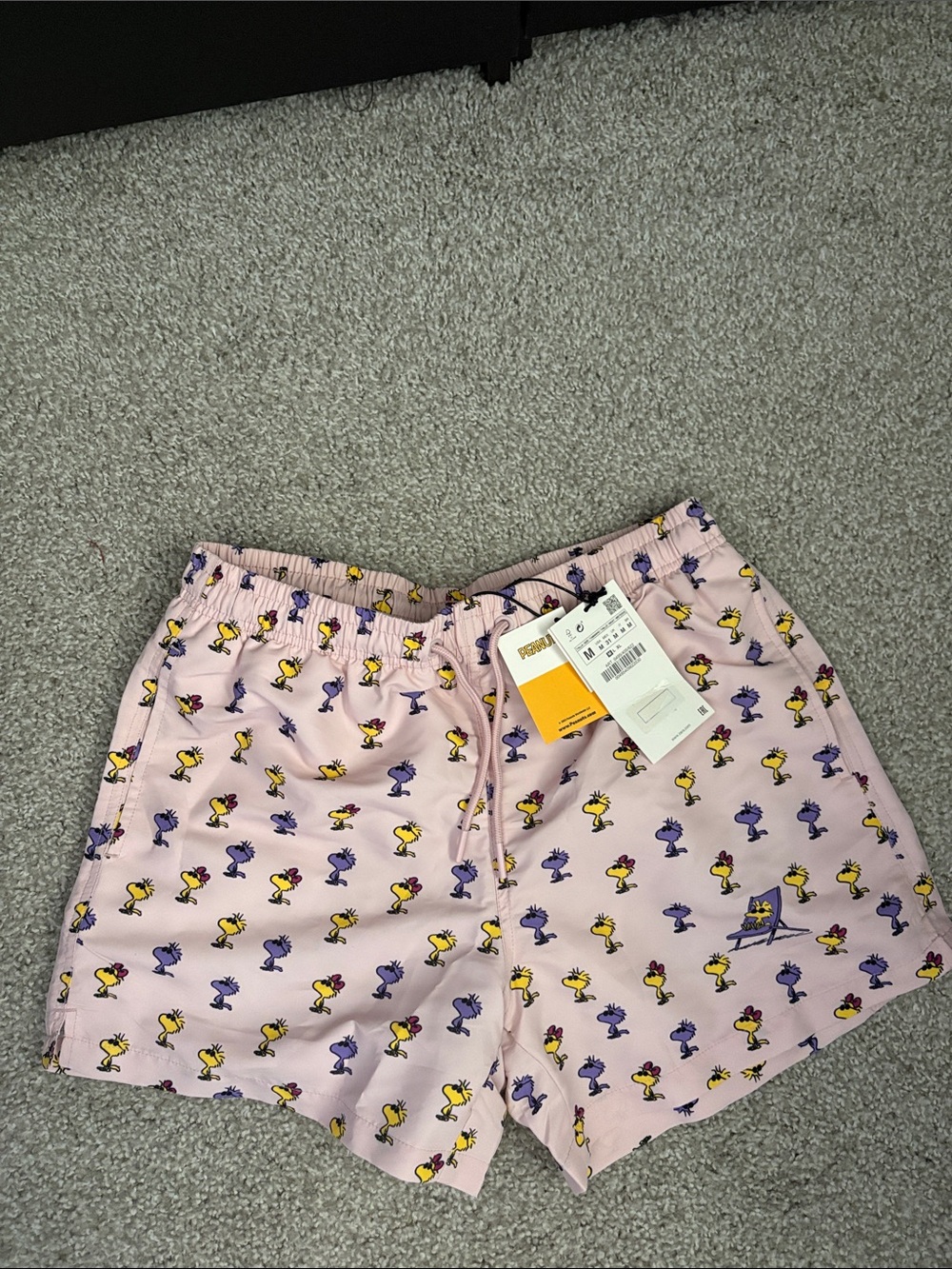 Zara men Swim Shorts